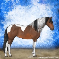 Horse Color:Bay Tobiano 