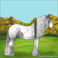 Horse Color:Black Ice Sabino Splash Tobiano Appaloosa Rabicano 