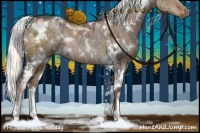 Horse Color:White Spotted Liver Red Dun Mushroom Brindle 