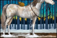 Horse Color:White Spotted Brown Pearl Dun Mushroom Brindle 