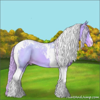 Horse Color:Watercolor Chestnut Tobiano Blanket