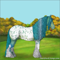 Horse Color:Watercolor Bay Tobiano Near Leopard 