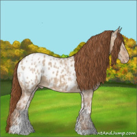 Horse Color:Red Dun Ice Sabino Varnish 