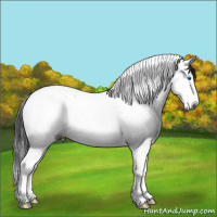 Horse Color:Gray Grullo Ice Sabino Splash Tobiano