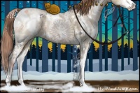 Horse Color:White Spotted Buckskin Ice Pearl Dun Sabino Brindle