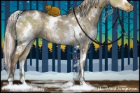 Horse Color:White Spotted Chocolate Palomino Dun Mushroom 