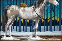 Horse Color:White Spotted Brown Ice Dun Sabino Rabicano Brindle