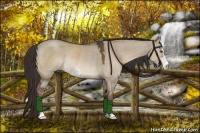 Horse Color:Liver Red Dun Sabino Rabicano 