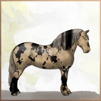 Horse Color:Void Plaid  White Spotted Chocolate Palomino Dun 