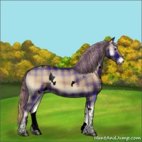 Horse Color:Void Plaid  White Spotted Liver Red Onyx Roan 