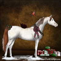 Horse Color:White Spotted Buckskin Pearl Onyx Tobiano Brindle