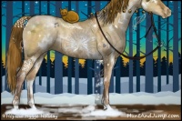 Horse Color:White Spotted Brown Ice Pearl Dun 