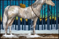 Horse Color:White Spotted Silver Brown Ice Pearl Dun 
