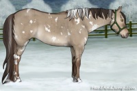 Horse Color:White Spotted Liver Red Dun Brindle 