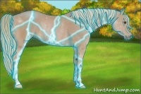 Horse Color:Thunderstruck Chestnut Mushroom Rabicano 