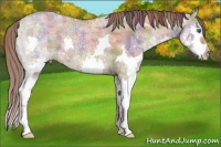 Horse Color:Nacre Liver Red Dun Ice Splash 