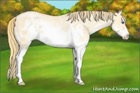 Horse Color:White Spotted Smoky Black Pearl Splash Frame