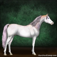 Horse Color:Watercolor White Spotted Chocolate Palomino Dun Splash