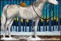 Horse Color:White Spotted Chocolate Silver Smoky Grullo Chinchilla Ice Onyx Brindle 