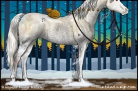 Horse Color:White Spotted Chocolate Silver Smoky Blue Onyx Chinchilla Ice Pearl
