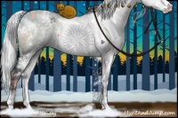 Horse Color:White Spotted Silver Grullo Chinchilla Sabino Brindle 