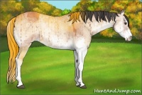 Horse Color:Bay Ice Onyx Sabino Brindle 