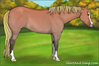 Horse Color:Painted Silver Bay Dun Sabino 