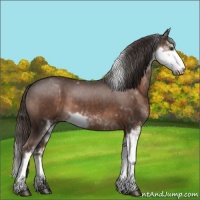 Horse Color:Liver Chestnut Sabino