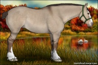 Horse Color:Liver Red Dun Sabino Rabicano