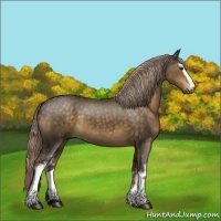 Horse Color:White Spotted Chocolate Palomino