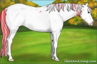 Horse Color:Watercolor White Spotted Liver Chestnut 