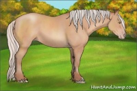 Horse Color:Silver Amber Champagne 