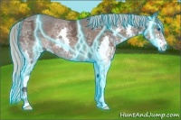 Horse Color:Thunderstruck Silver Black Ice Splash