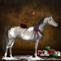 Horse Color:White Spotted Liver Red Dun Ice Brindle 