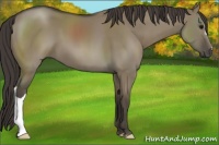 Horse Color:Smoky Grullo 
