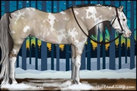 Horse Color:White Spotted Liver Red Dun Splash