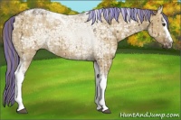 Horse Color:Painted White Spotted Chocolate Palomino Ice Dun Tobiano Brindle 