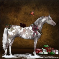 Horse Color:White Spotted Chocolate Silver Grullo Chinchilla Brindle 