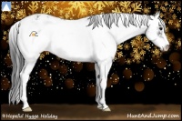 Horse Color:Black Sabino Appaloosa 