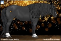 Horse Color:Black Sabino 