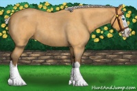 Horse Color:Silver Buckskin Roan Splash 