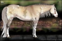 Horse Color:Silver Buckskin Ice Onyx Mushroom Sabino Splash 