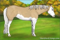 Horse Color:Silver Smoky Grullo Splash 