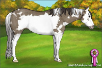Horse Color:White Spotted Smoky Grullo Splash Frame Rabicano 