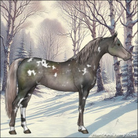 Horse Color:Platinum White Spotted Liver Chestnut 