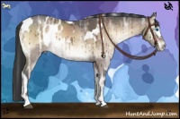 Horse Color:White Spotted Silver Bay Ice Onyx Sabino Splash Appaloosa Brindle  and Bay Ice Onyx Sabino Rabicano Brindle 