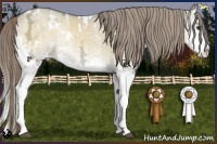 Horse Color:White Spotted Chocolate Palomino Ice Onyx Mushroom Sabino Splash 