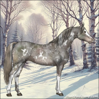 Horse Color:White Spotted Liver Chestnut Ice Mushroom Rabicano 