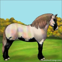 Horse Color:Nacre Red Dun Splash 