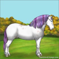 Horse Color:Painted Bay Ice Dun Sabino Splash Appaloosa